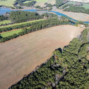 Photo #14 of FOLLY CREEK RD, ACCOMAC, VA 93.0 acres