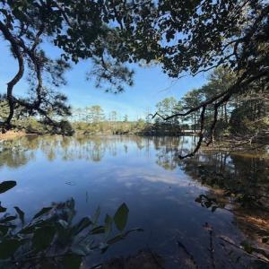 Photo #19 of FOLLY CREEK RD, ACCOMAC, VA 93.0 acres