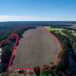 Photo #2 of FOLLY CREEK RD, ACCOMAC, VA 93.0 acres