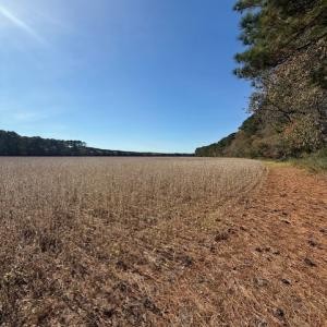 Photo #21 of FOLLY CREEK RD, ACCOMAC, VA 93.0 acres