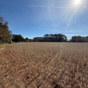 Photo #22 of FOLLY CREEK RD, ACCOMAC, VA 93.0 acres