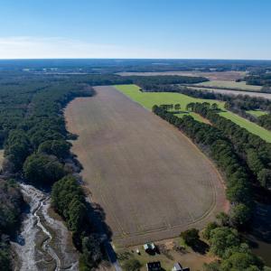 Photo #3 of FOLLY CREEK RD, ACCOMAC, VA 93.0 acres