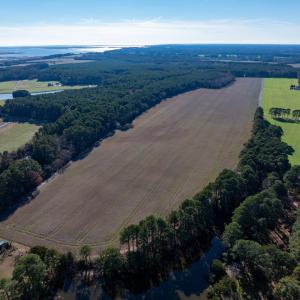 Photo #4 of FOLLY CREEK RD, ACCOMAC, VA 93.0 acres