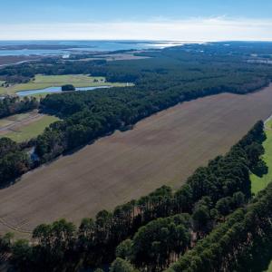 Photo #5 of FOLLY CREEK RD, ACCOMAC, VA 93.0 acres