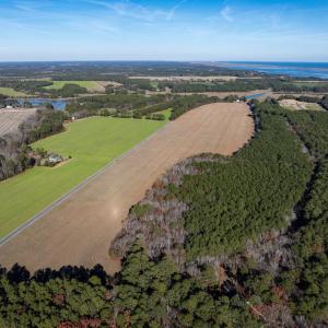 Photo #8 of FOLLY CREEK RD, ACCOMAC, VA 93.0 acres