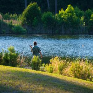 Photo #6 of 504 ARNIE'S LOOP, CAPE CHARLES, VA 0.5 acres