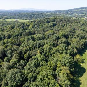 Photo #13 of 1150 FURRS MILL RD, LEXINGTON, VA 136.1 acres