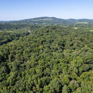 Photo #11 of 1150 FURRS MILL RD, LEXINGTON, VA 136.1 acres