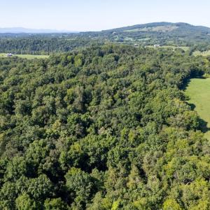 Photo #12 of 1150 FURRS MILL RD, LEXINGTON, VA 136.1 acres