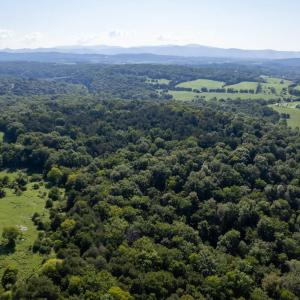 Photo #17 of 1150 FURRS MILL RD, LEXINGTON, VA 136.1 acres