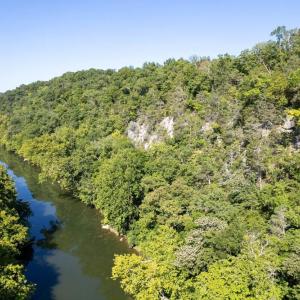 Photo #51 of 1150 FURRS MILL RD, LEXINGTON, VA 136.1 acres