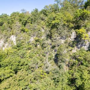 Photo #50 of 1150 FURRS MILL RD, LEXINGTON, VA 136.1 acres