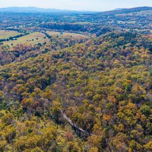 Photo #11 of 1150 FURRS MILL RD, LEXINGTON, VA 136.1 acres