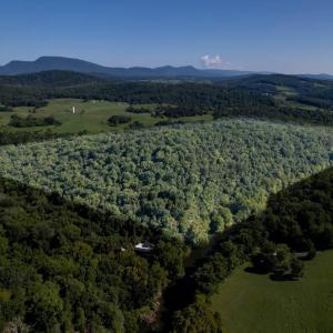 Photo #2 of 1150 FURRS MILL RD, LEXINGTON, VA 136.1 acres