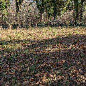 Clear building site.