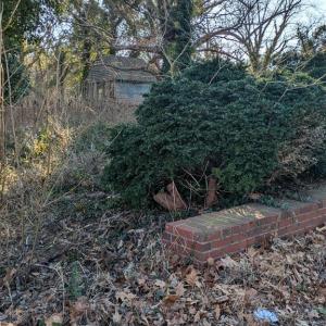 Photo #11 of 23514 FRONT ST, ACCOMAC, VA 3.9 acres