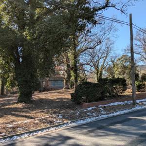 Photo #12 of 23514 FRONT ST, ACCOMAC, VA 3.9 acres