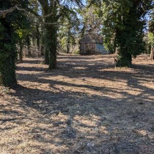 Photo #2 of 23514 FRONT ST, ACCOMAC, VA 3.9 acres