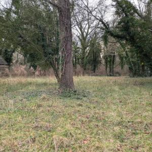 Photo #3 of 23514 FRONT ST, ACCOMAC, VA 3.9 acres