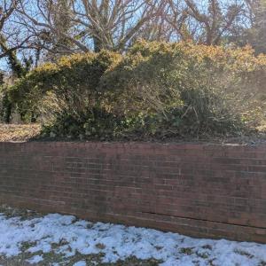 Brick Wall, Raised property from Front Street giving privacy and class.