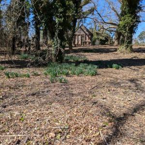 Photo #6 of 23514 FRONT ST, ACCOMAC, VA 3.9 acres