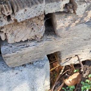 Tongue and Groove