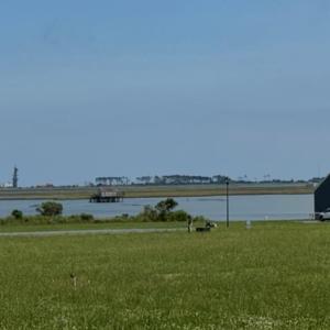 Photo #5 of 12 BAY VIEW LANE, ATLANTIC, VA 153.0 acres