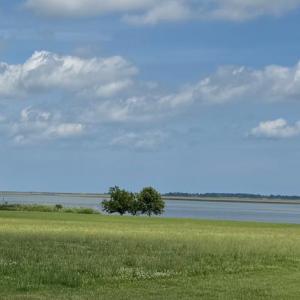 Photo #2 of 12 BAY VIEW LANE, ATLANTIC, VA 153.0 acres