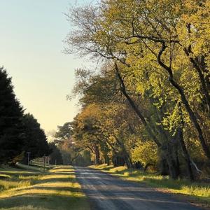 Road to Eagles Sound