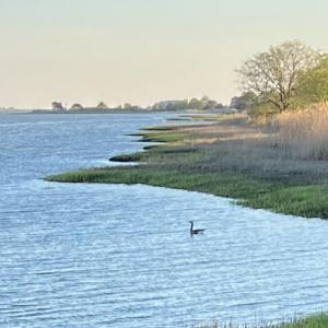 View down coast from dock