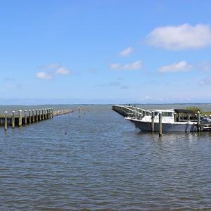 Photo #20 of Lot 14 CORBIN HALL LN, HORNTOWN, VA 150.0 acres