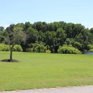 Photo #6 of Lot 14 CORBIN HALL LN, HORNTOWN, VA 150.0 acres
