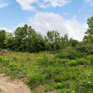 Photo #3 of 1229 ROSSER AVE, WAYNESBORO, VA 1.8 acres