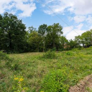 Photo #4 of 1229 ROSSER AVE, WAYNESBORO, VA 1.8 acres