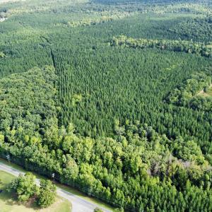 Photo #7 of JEFFERSON HWY, LOUISA, VA 62.2 acres
