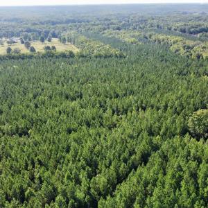 Photo #10 of JEFFERSON HWY, LOUISA, VA 62.2 acres