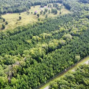 Photo #4 of JEFFERSON HWY, LOUISA, VA 62.2 acres