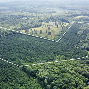Photo #9 of JEFFERSON HWY, LOUISA, VA 62.2 acres