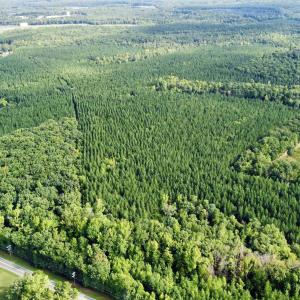 Photo #6 of JEFFERSON HWY, LOUISA, VA 62.2 acres