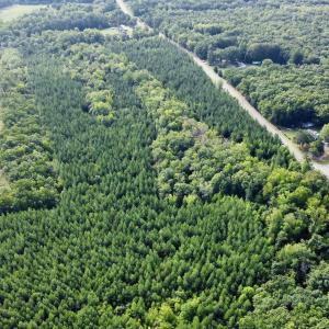 Photo #3 of JEFFERSON HWY, LOUISA, VA 62.2 acres