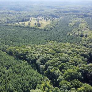 Photo #8 of JEFFERSON HWY, LOUISA, VA 62.2 acres