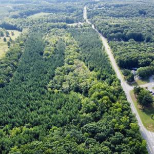 Photo #5 of JEFFERSON HWY, LOUISA, VA 62.2 acres