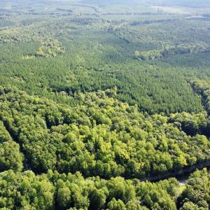 Photo #6 of SCHOOL BUS RD, LOUISA, VA 106.7 acres