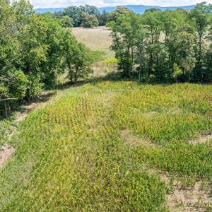 Photo #8 of TBD MICHAEL LN, ELKTON, VA 6.5 acres