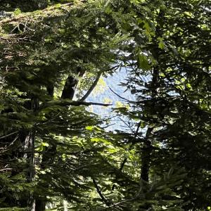 Mountain views in the winter!