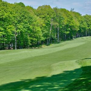 Photo #17 of TBD SHAMOKIN SPRINGS TRL, WINTERGREEN RESORT, VA 0.4 acres