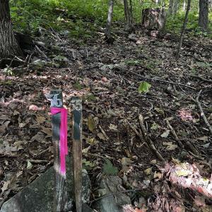 Photo #7 of TBD SHAMOKIN SPRINGS TRL, WINTERGREEN RESORT, VA 0.4 acres