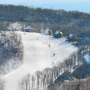 Photo #12 of TBD SHAMOKIN SPRINGS TRL, WINTERGREEN RESORT, VA 0.4 acres