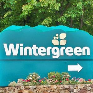 Photo #11 of TBD SHAMOKIN SPRINGS TRL, WINTERGREEN RESORT, VA 0.4 acres