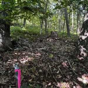 Photo #8 of TBD SHAMOKIN SPRINGS TRL, WINTERGREEN RESORT, VA 0.4 acres